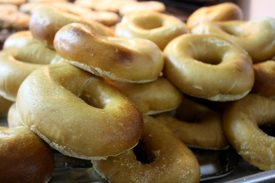 Plain Bagels